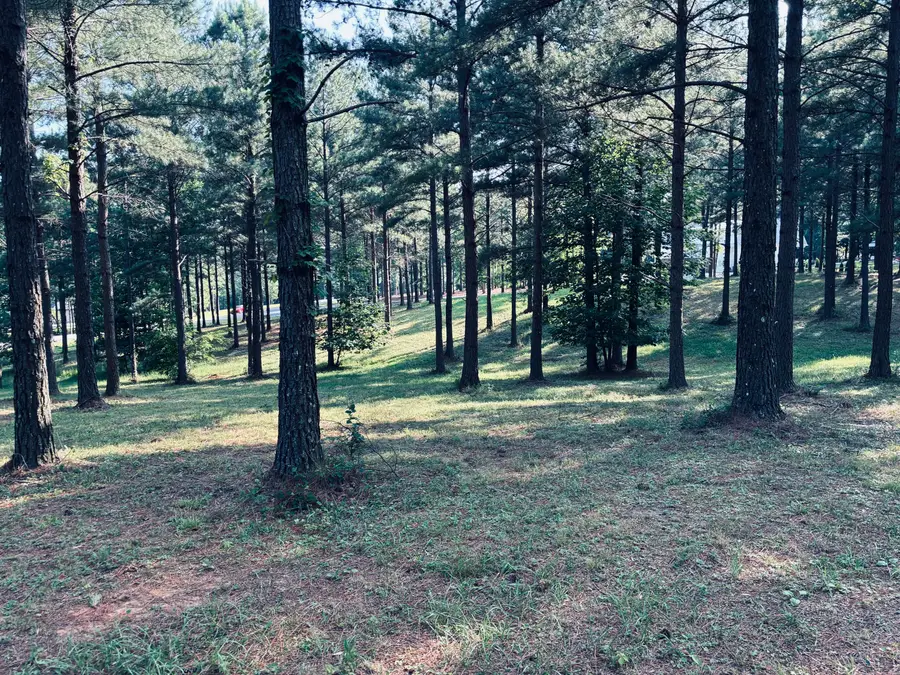 000 Raulston Falls Road, Jasper, TN 37347 - #3
