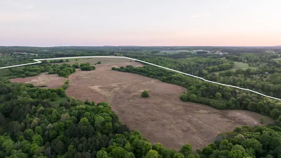 778 County Road 65, Collinsville, AL 35961 - #3