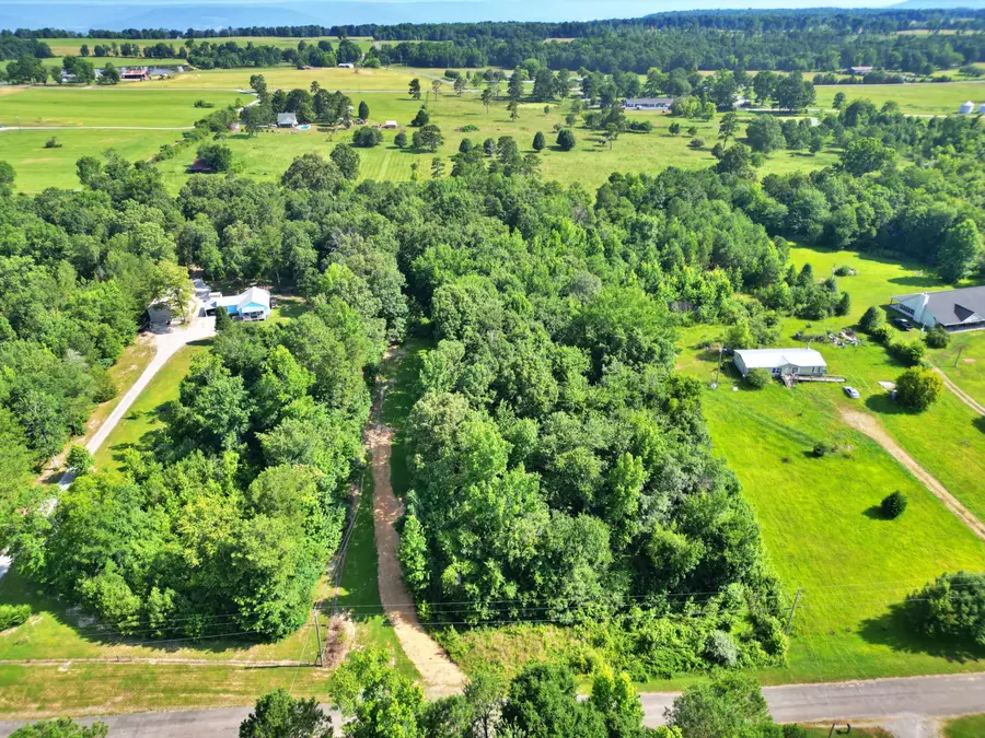 3.01 Acres County Road 814, Flat Rock, AL 35966 - #2