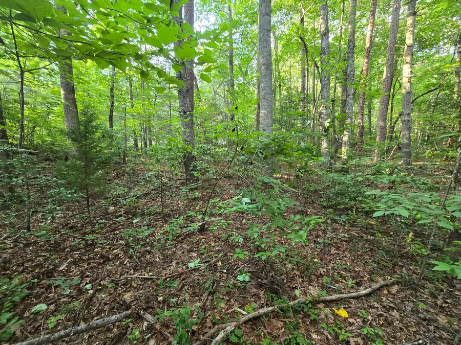 000 Colwell Church Rd, Epworth, GA 30541 - #3