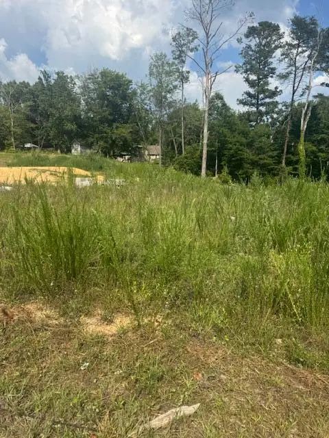 312 Windsong Drive, Lafayette, GA 30728 - #2