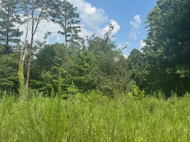 310 Windsong Drive, Lafayette, GA 30728 - #1