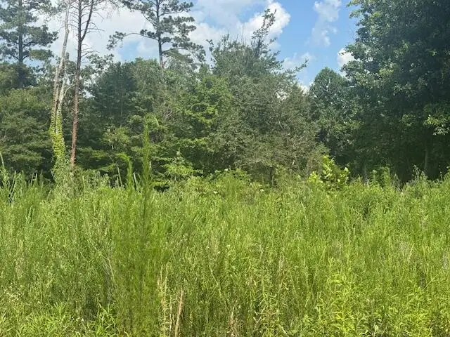 310 Windsong Drive, Lafayette, GA 30728 - #2