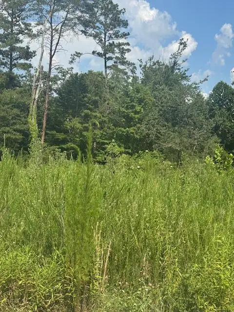 310 Windsong Drive, Lafayette, GA 30728 - #3