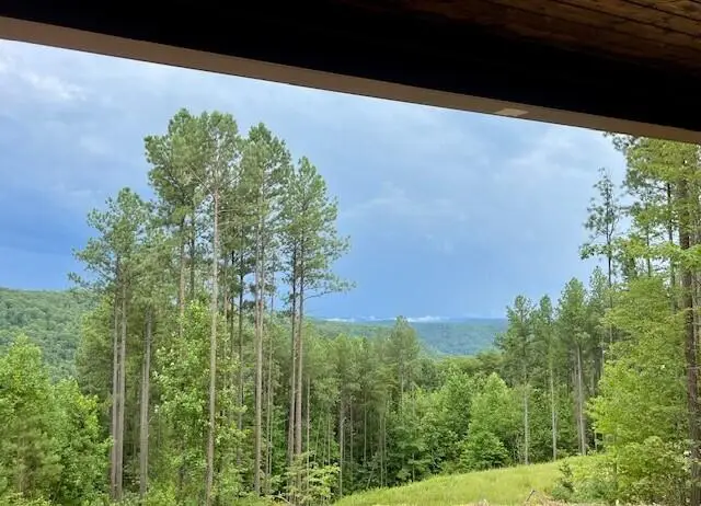 4190 Split Rail Way Way #1368, Guild, TN 37340 - #2