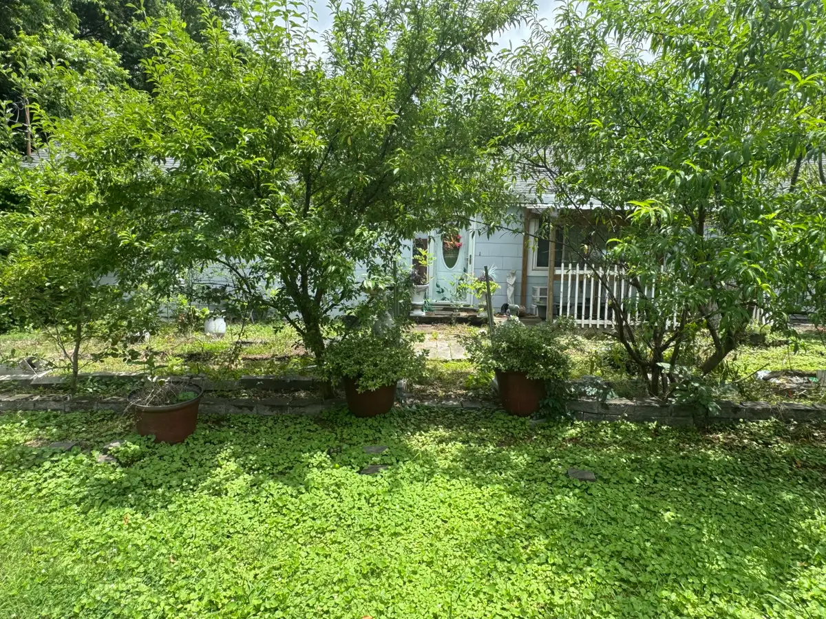 528 Browns Ferry Road, Chattanooga, TN 37419 - #1