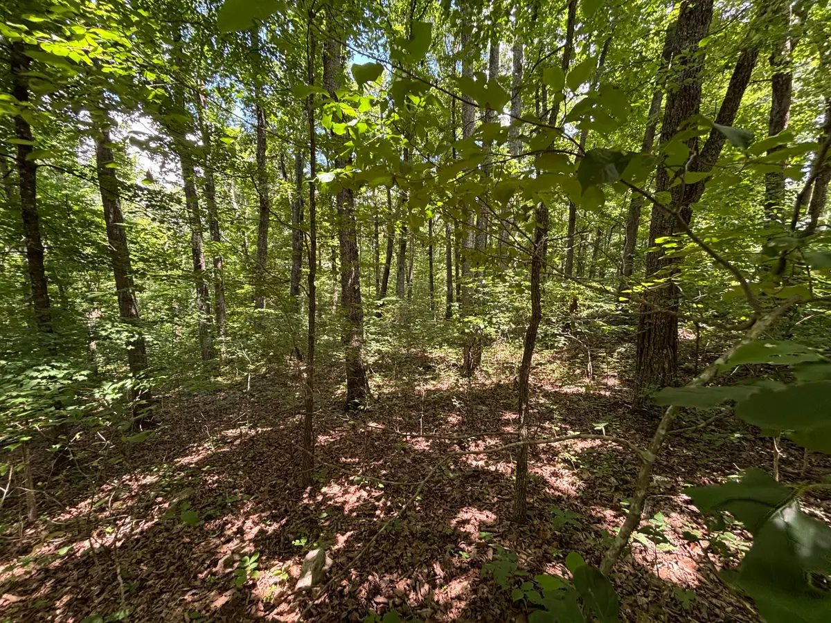 0 Sussex Road, Dayton, TN 37321 - #1