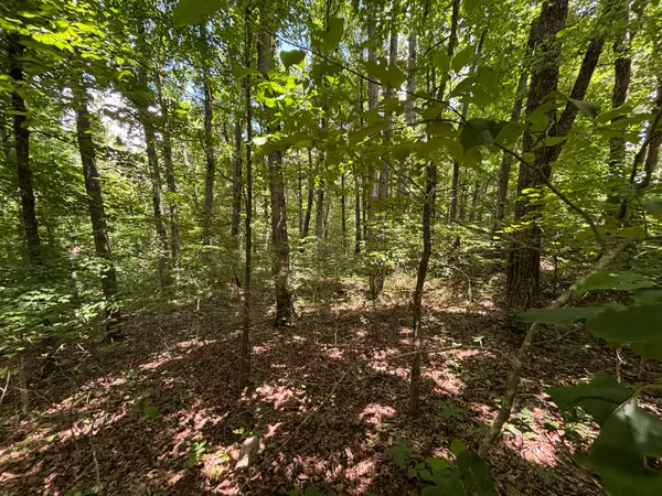 0 Sussex Road, Dayton, TN 37321