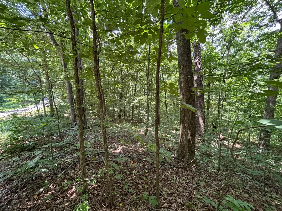 0 Sussex Road, Dayton, TN 37321 - #3