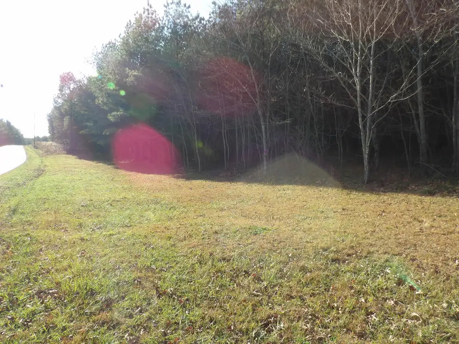 10 Summer City Road, Evensville, TN 37332 - #3