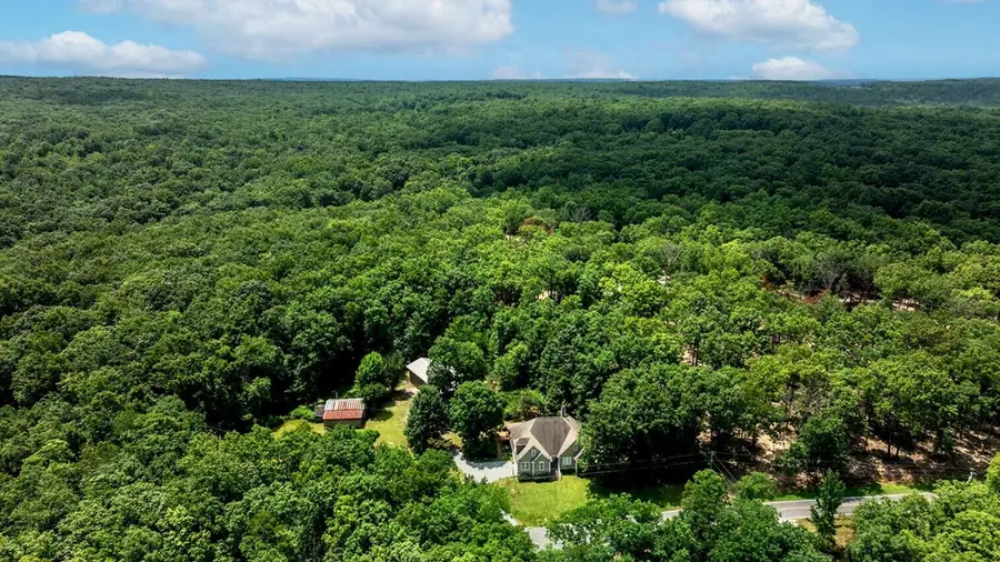 1390 Tatum Gulf Road, Cloudland, GA 30731 - #2
