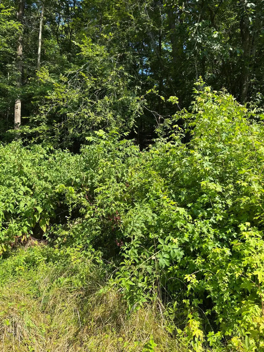 340 Brumlow Hollow Road, Soddy Daisy, TN 37379 - #3