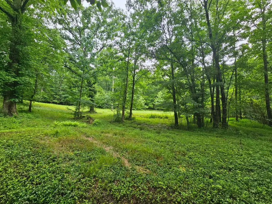 2411 Sr 56 Road #1, Tracy City, TN 37387 - #3