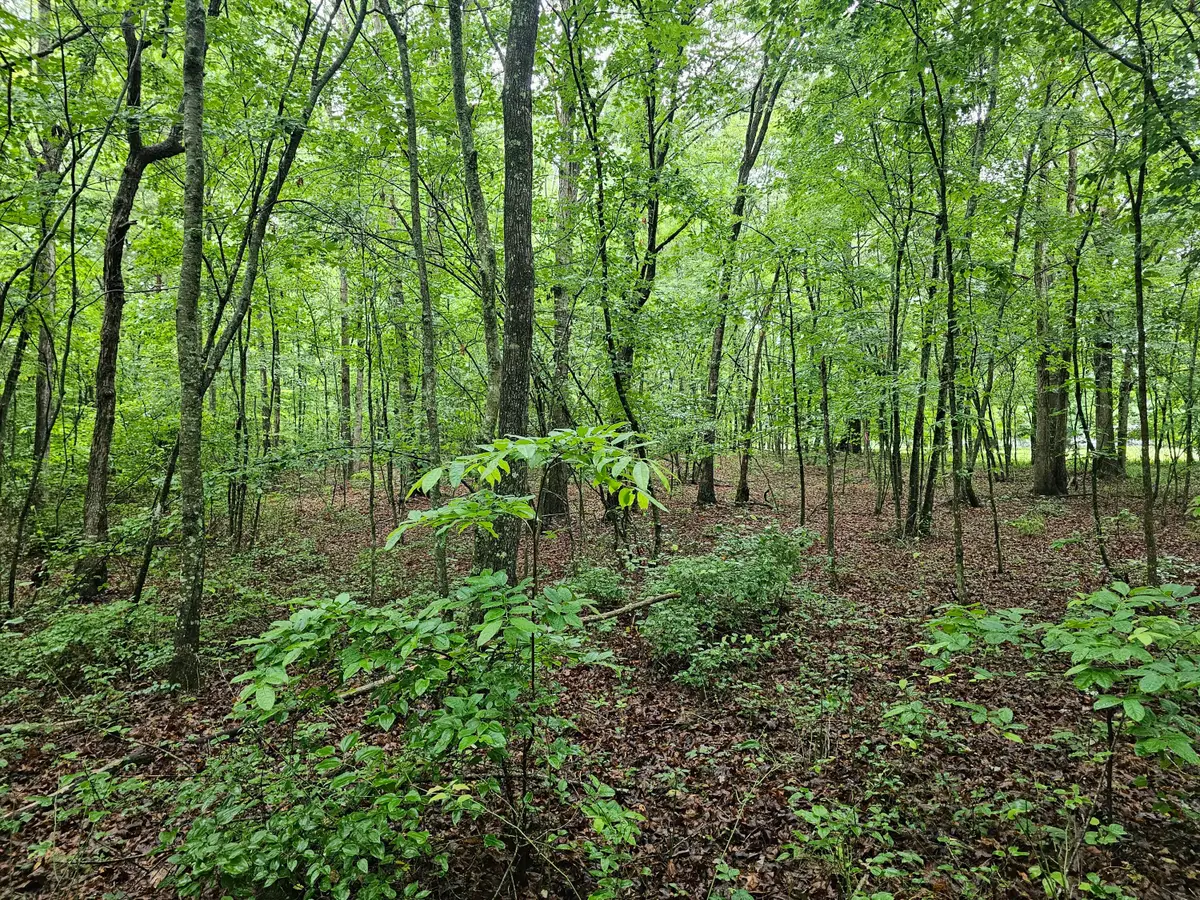 2411 Sr 56 Road #2, Tracy City, TN 37387 - #1