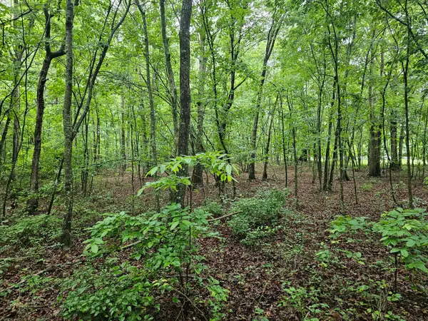 2411 Sr 56 Road #2, Tracy City, TN 37387
