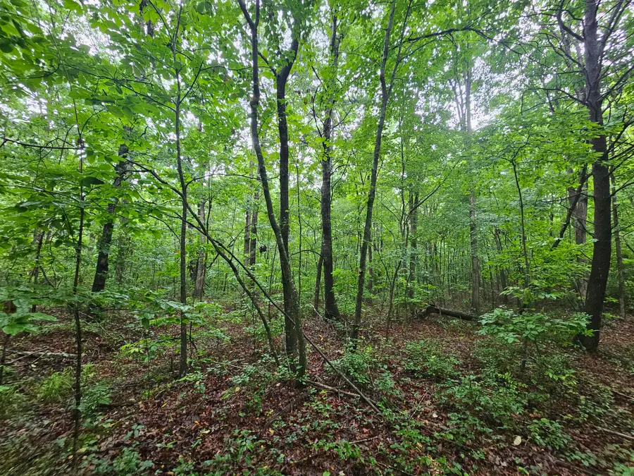 2411 Sr 56 Road #2, Tracy City, TN 37387 - #3