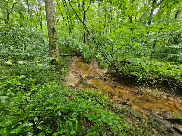 2411 Sr 56 Road #4, Tracy City, TN 37387