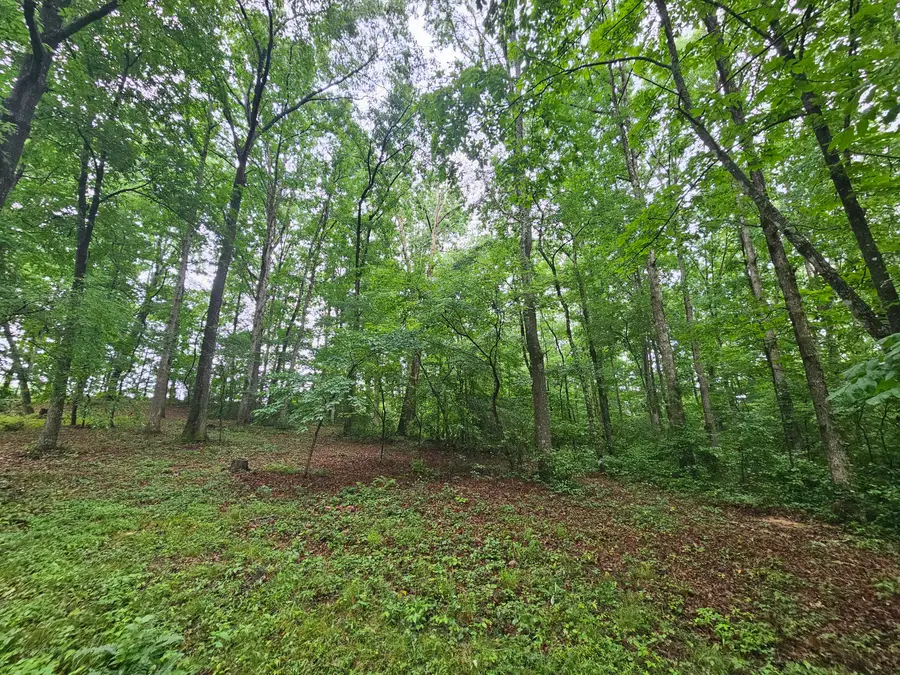 2411 Sr 56 Road #5, Tracy City, TN 37387 - #2