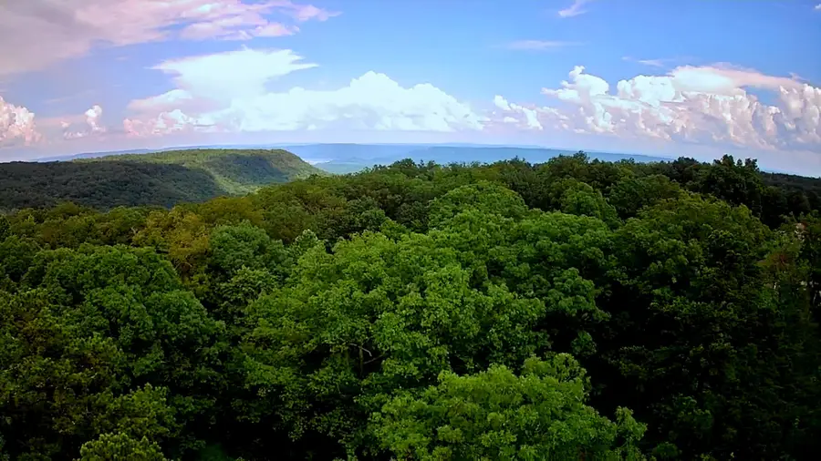 381 Patton School Road #02, South Pittsburg, TN 37380 - #3