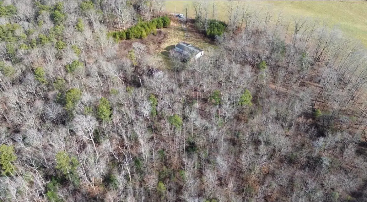767 Wichser Road, Gruetli Laager, TN 37339 - #1