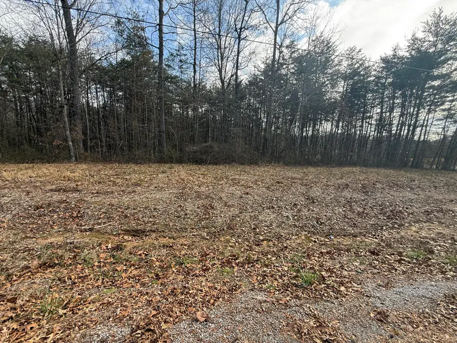 01 County Road #267, Lot 6, Bryant, AL 35958 - #3