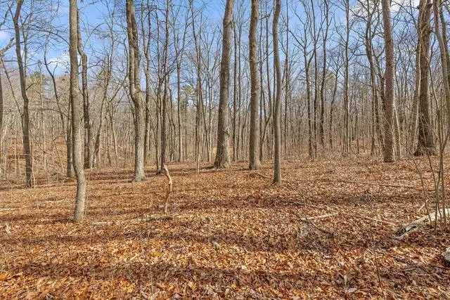 8307 Bear Paw Trail #(106), Signal Mountain, TN 37377 - #1