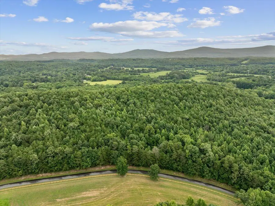 00 Fricks Gap Road #Lot 4, Chickamauga, GA 30707 - #2