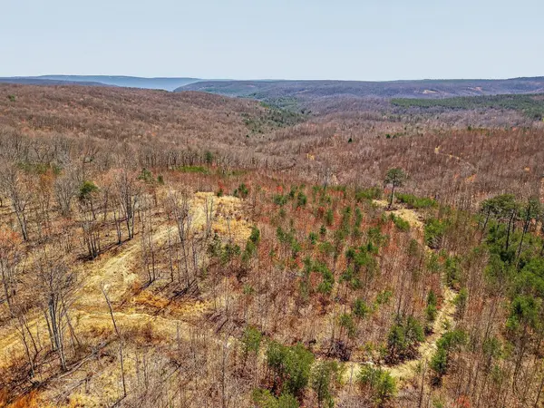 253 Highway 27 Daus Mountain Road, Palmer, TN 37365