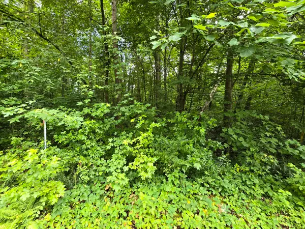 Lot 133 Lower Brow Road, Dunlap, TN 37327