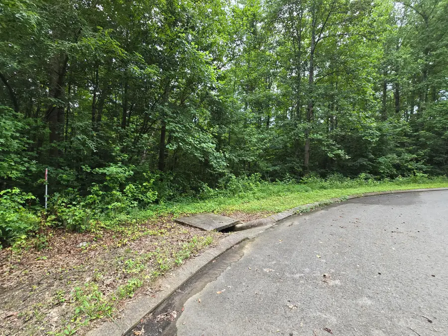 Lot 133 Lower Brow Road, Dunlap, TN 37327 - #2