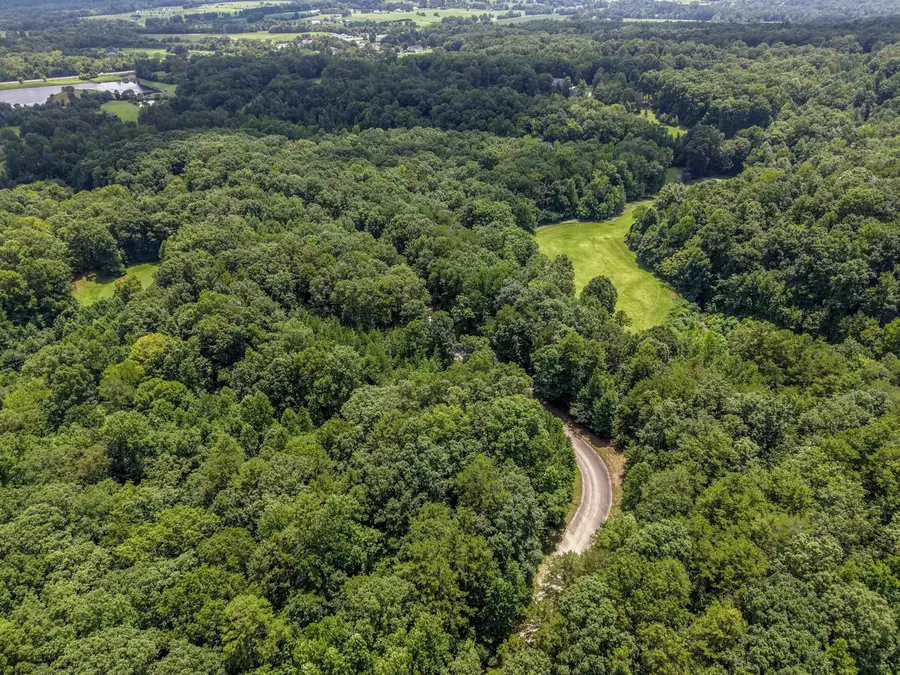 Lot 133 Lower Brow Road, Dunlap, TN 37327 - #3