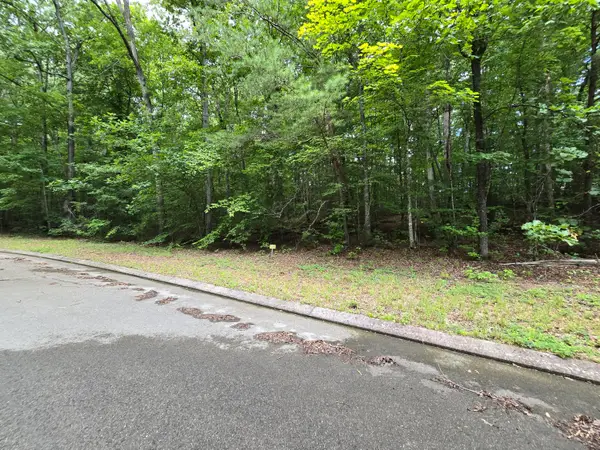 Lot 136 Lower Brow Road, Dunlap, TN 37327