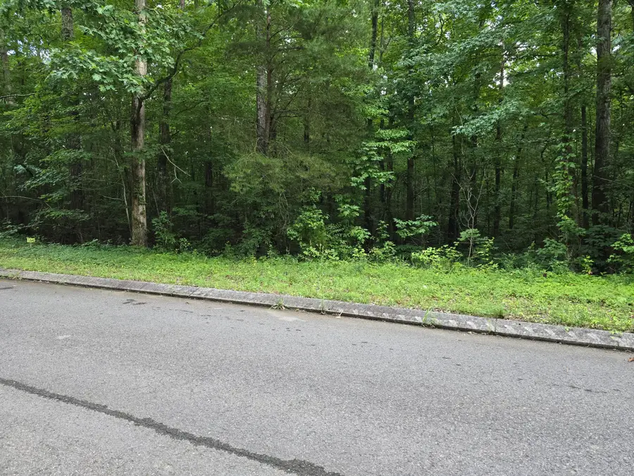 Lot 144 Lower Brow Road, Dunlap, TN 37327 - #2