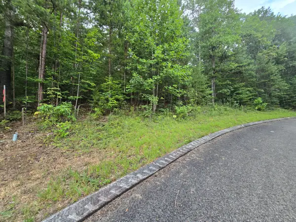 Lot 155 Lower Brow Road, Dunlap, TN 37327