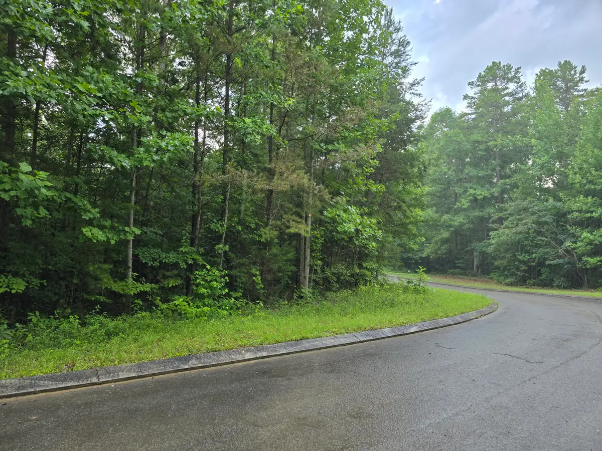 Lot 156 Lower Brow Road, Dunlap, TN 37327 - #1