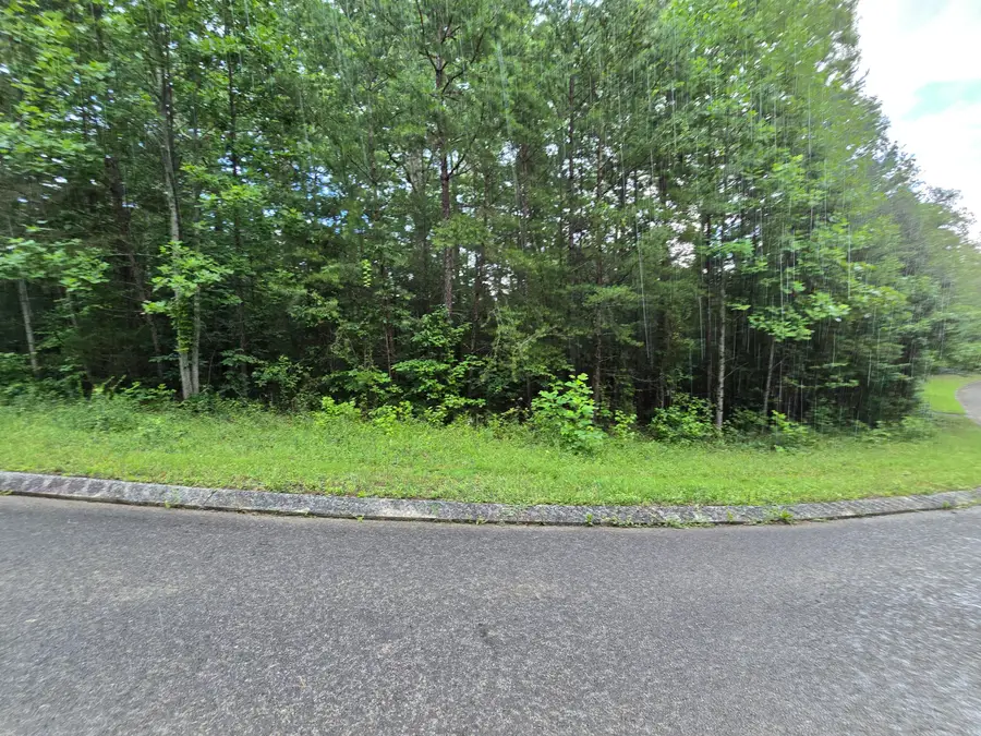 Lot 156 Lower Brow Road, Dunlap, TN 37327 - #2