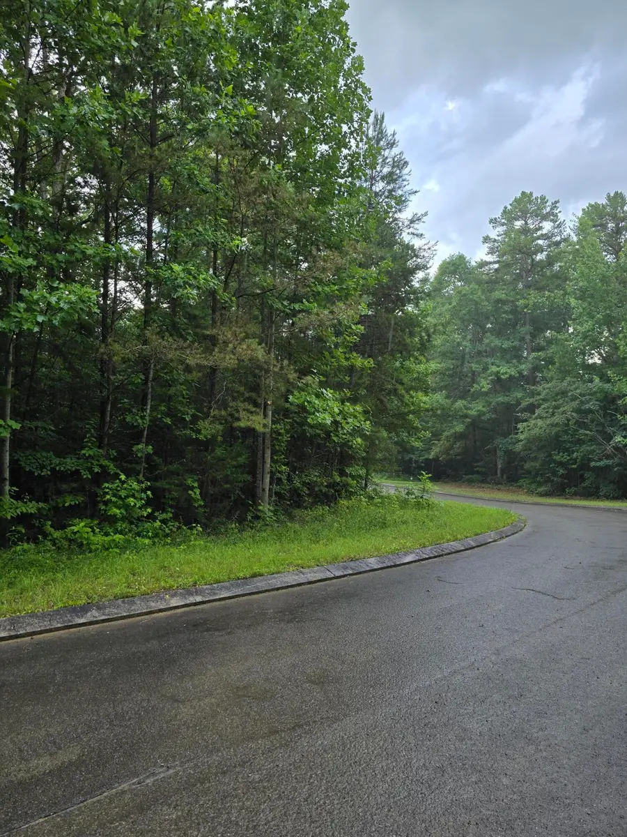 Lot 156 Lower Brow Road, Dunlap, TN 37327 - #3