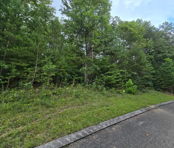 Lot 157 Lower Brow Road, Dunlap, TN 37327