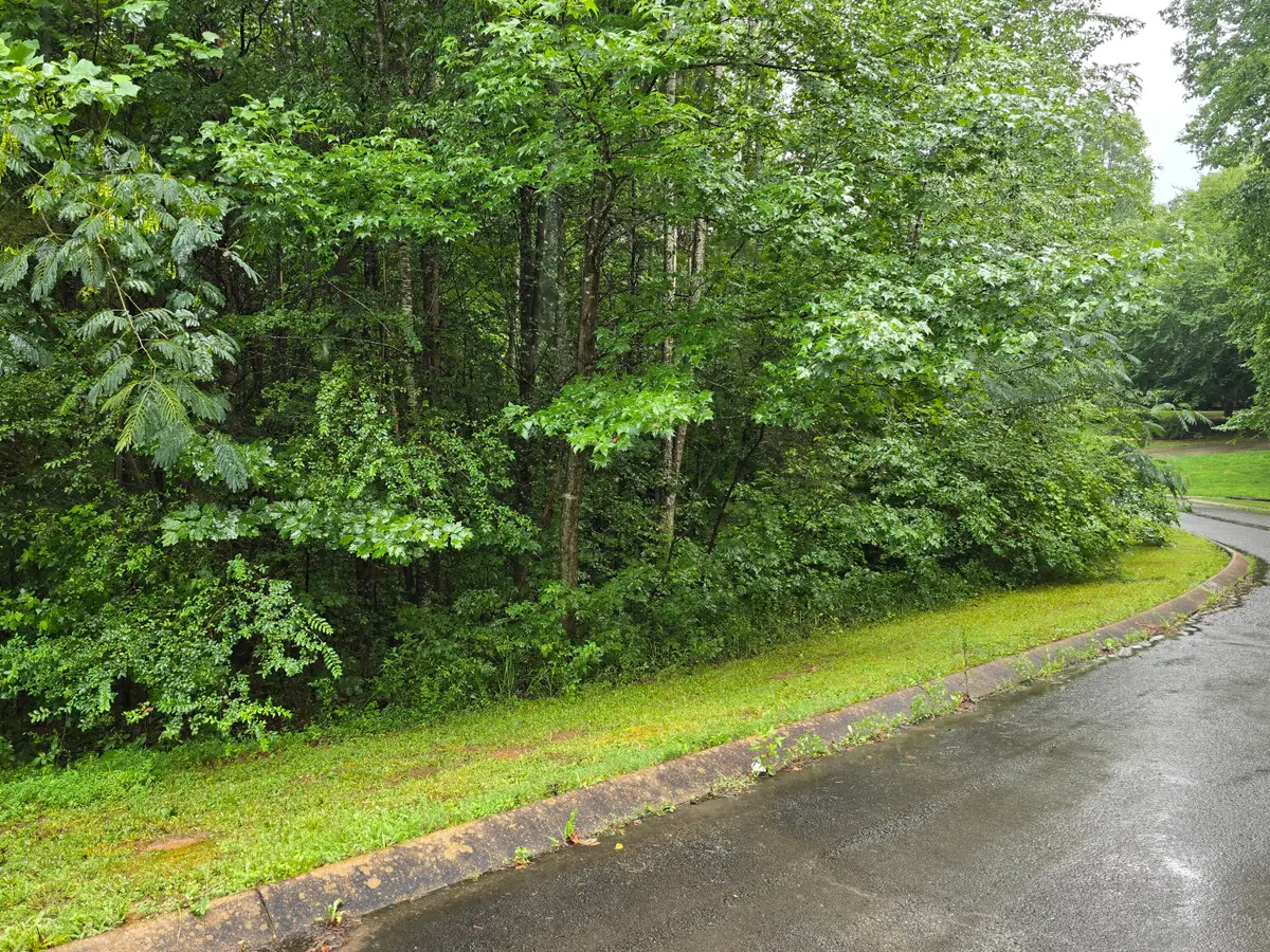 0 Big Cedar Drive, Dunlap, TN 37327 - #1