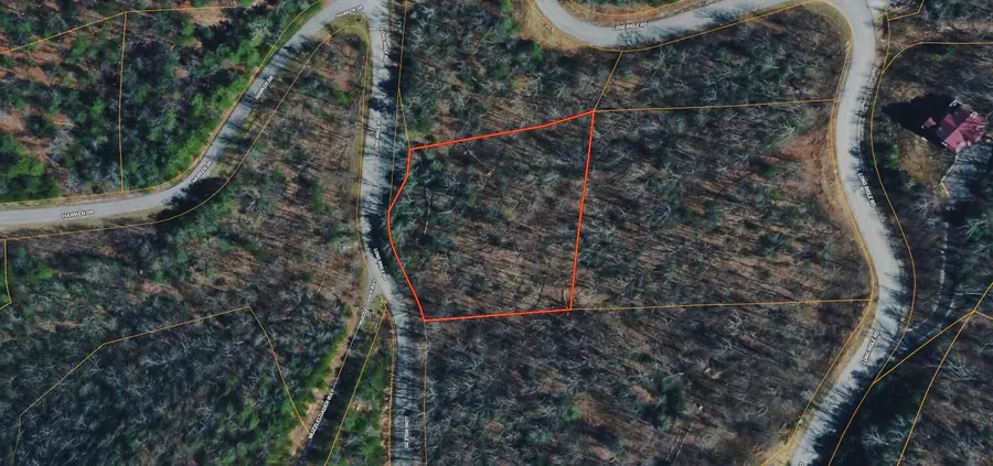 0 Long Rifle Road, Walland, TN 37886 - #2
