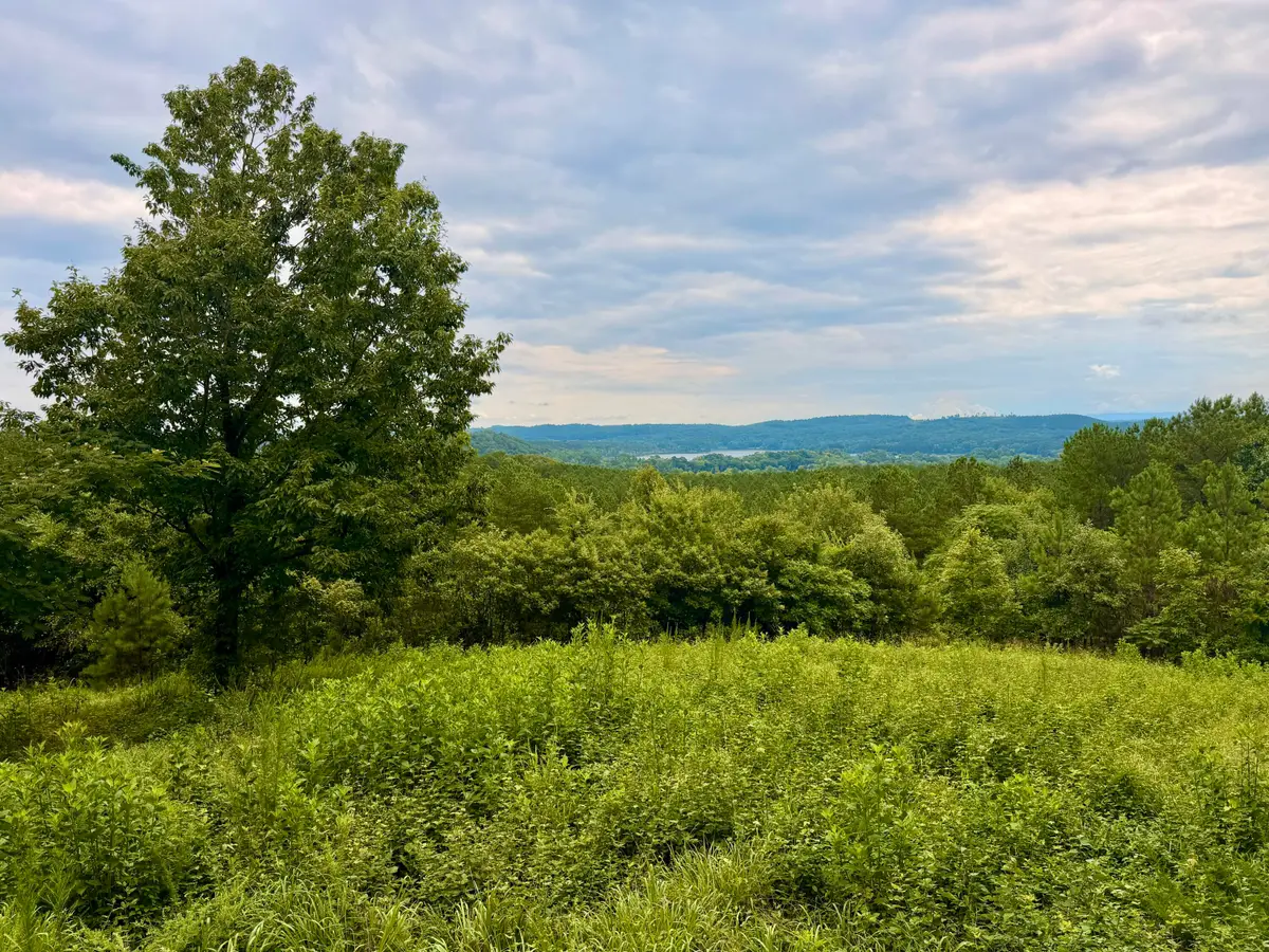 847 Eads Bluff Road Nw, Georgetown, TN 37336 - #1