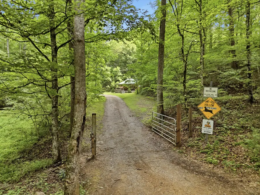 2 Dog Hollow Road, Reliance, TN 37369 - #2