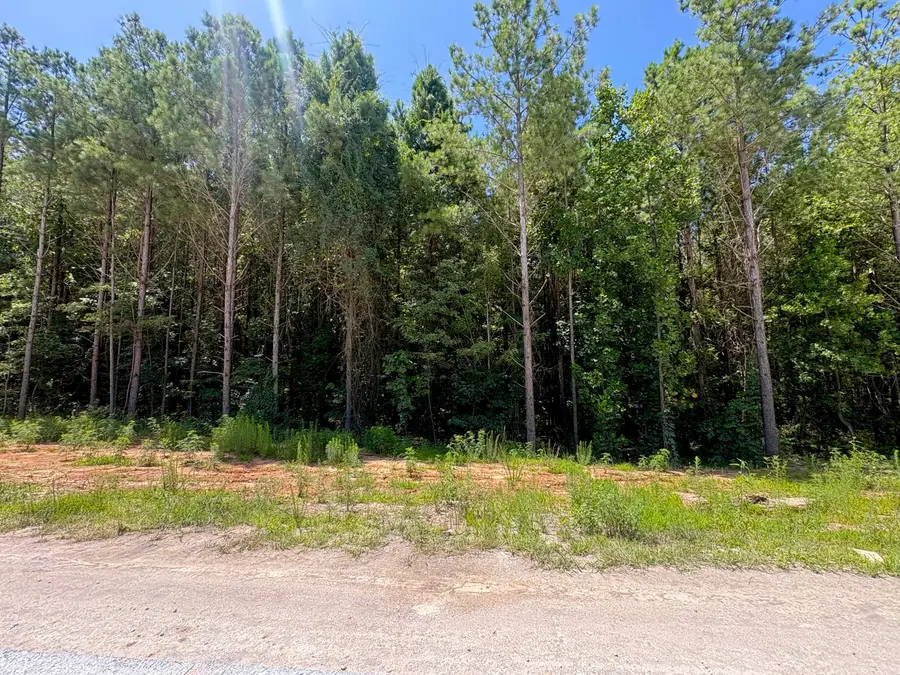 5199 Split Rail Way #1151, Guild, TN 37340 - #3