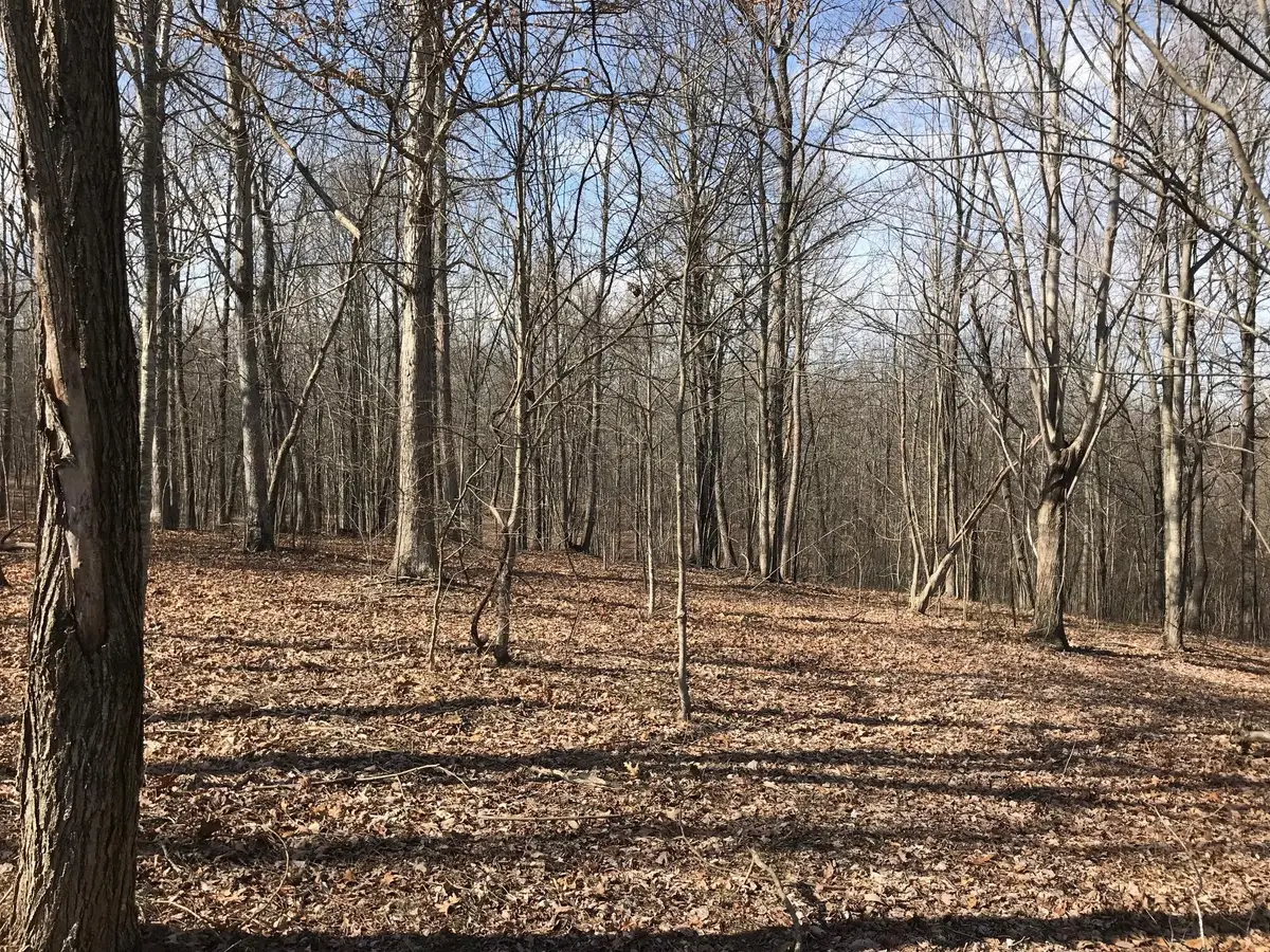 504 Wilderness Way, Dunlap, TN 37327 - #1