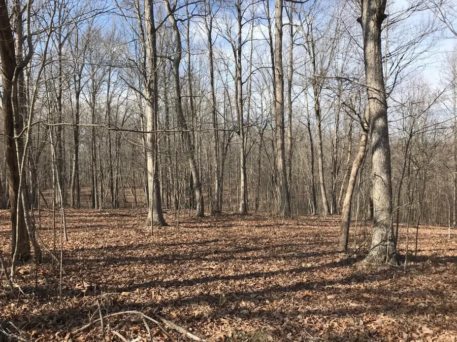 504 Wilderness Way, Dunlap, TN 37327 - #2