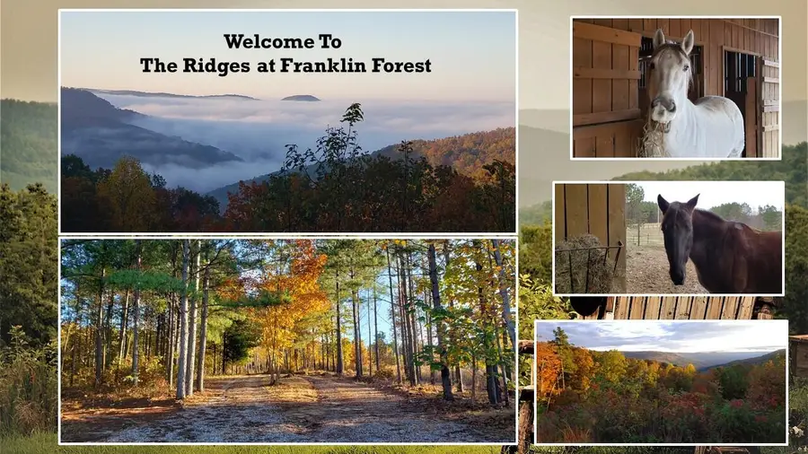 101 Falling Cliff #101, South Pittsburg, TN 37380 - #3