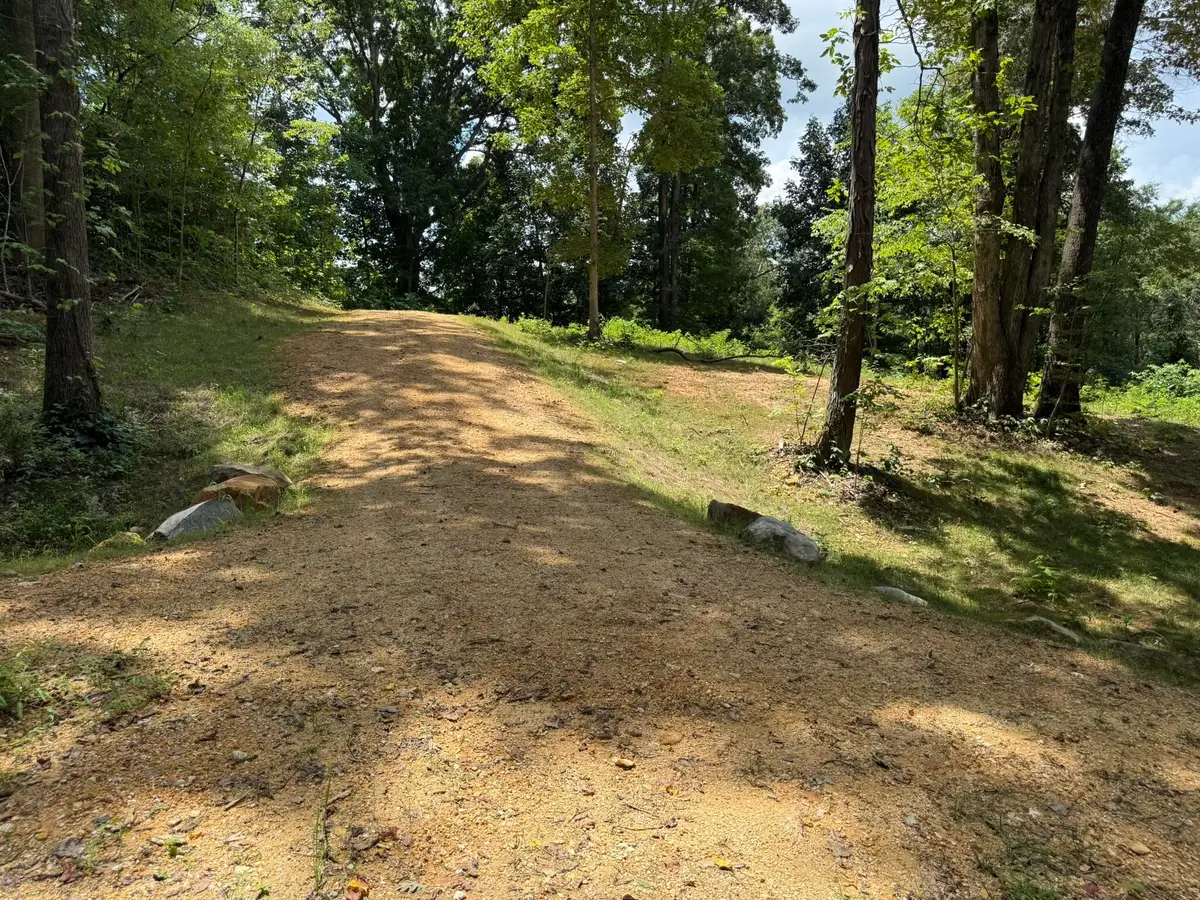 14.34 Ac Church Street, Valley Head, AL 35989 - #1