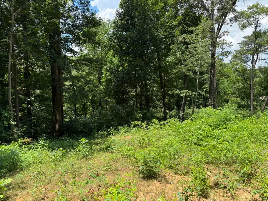 14.34 Ac Church Street, Valley Head, AL 35989 - #3
