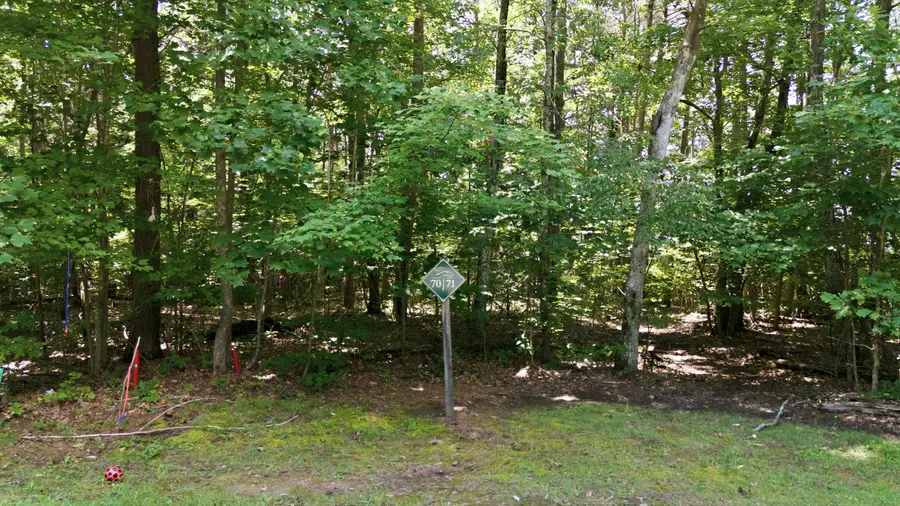 0 Shivas Crest #Lot 70, Rising Fawn, GA 30738 - #2