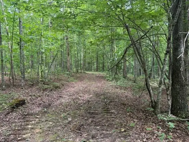 3b S Pittsburg Mountain Road #3b, South Pittsburg, TN 37380 - #3